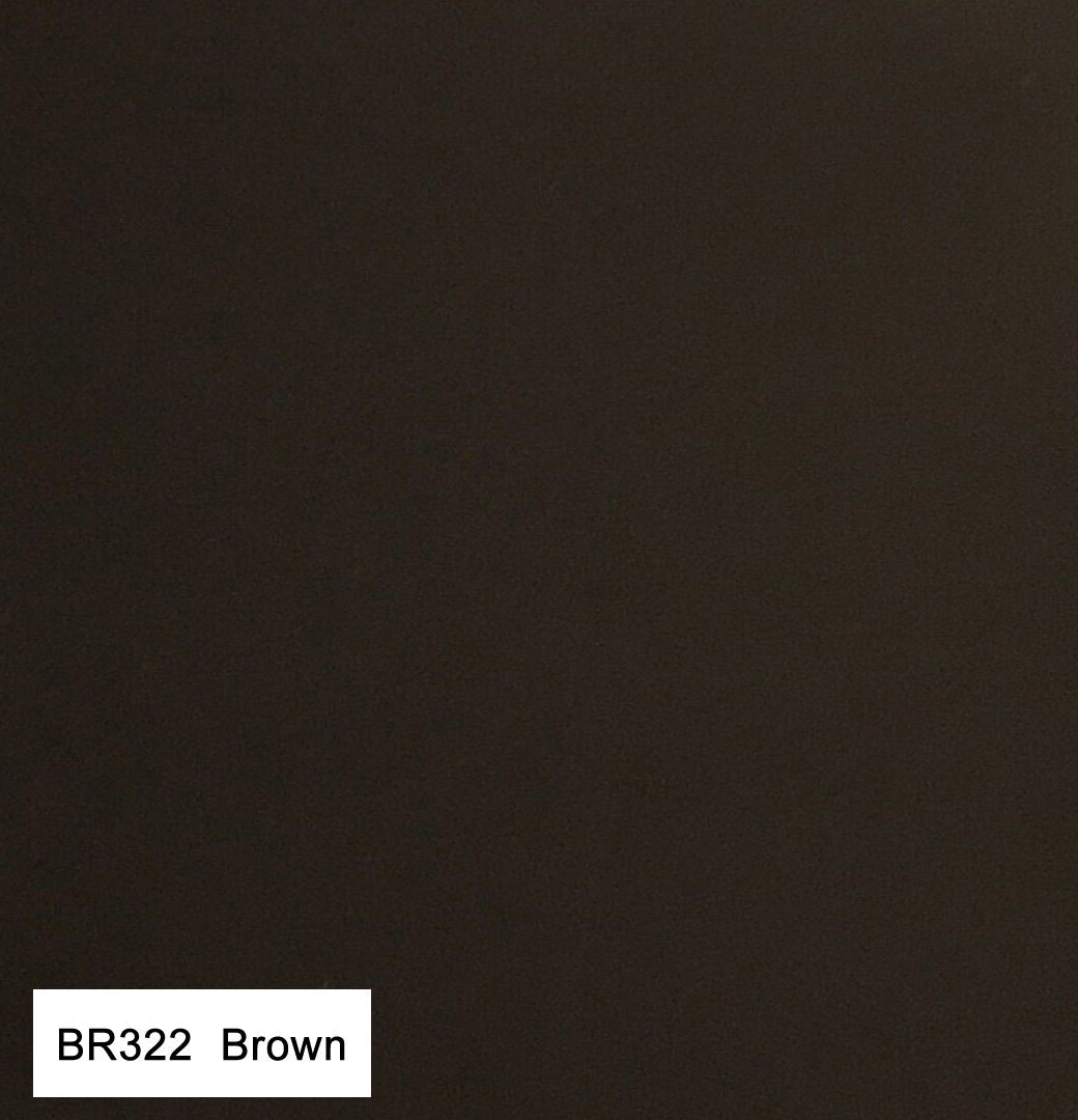 BR322