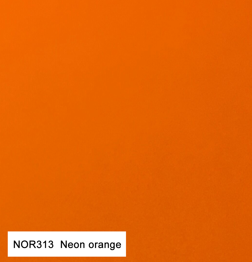 NOR313