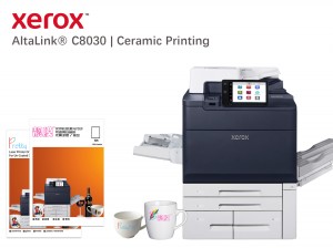 xerox C8030 en